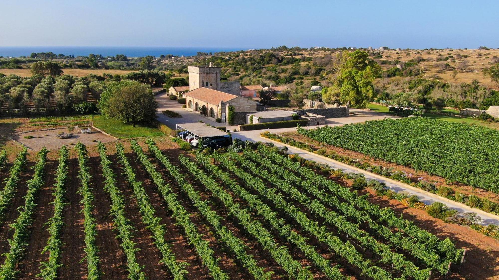 Masseria Fano Relais & Wine Salve Ngoại thất bức ảnh