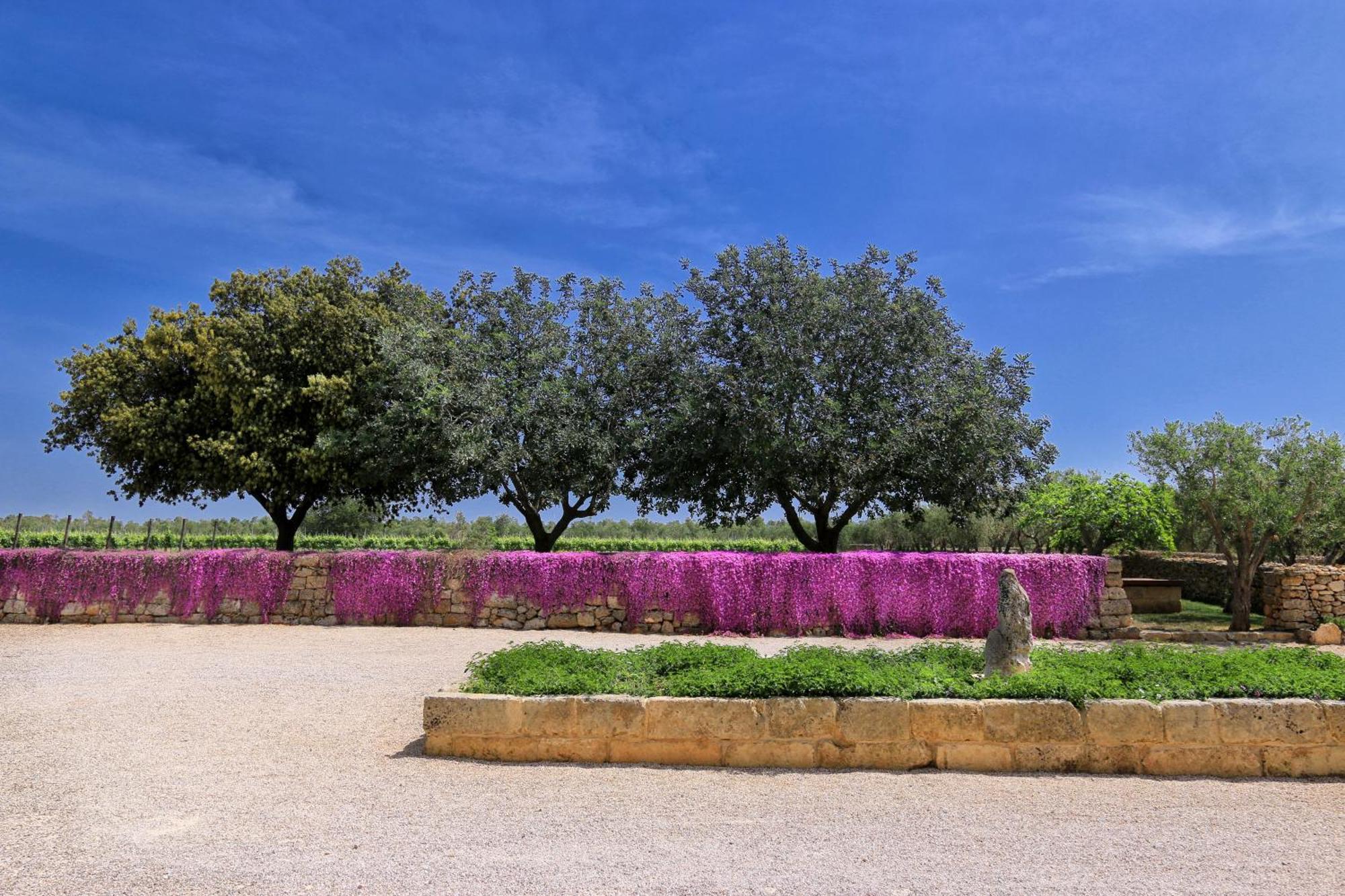 Masseria Fano Relais & Wine Salve Ngoại thất bức ảnh